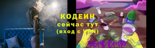 хмурый Богородск