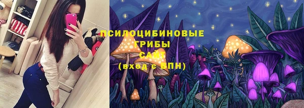 хмурый Богородск