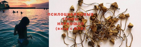 МДМА Богородицк